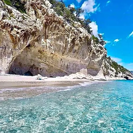 Luce Viola Dorgali