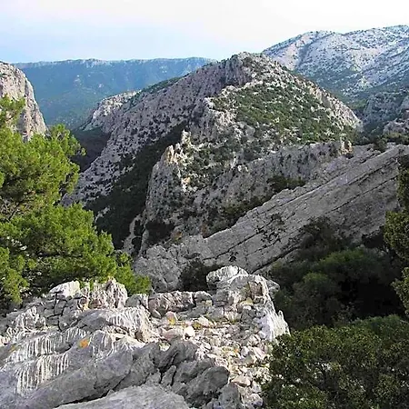 Luce Viola Bed and Breakfast Dorgali