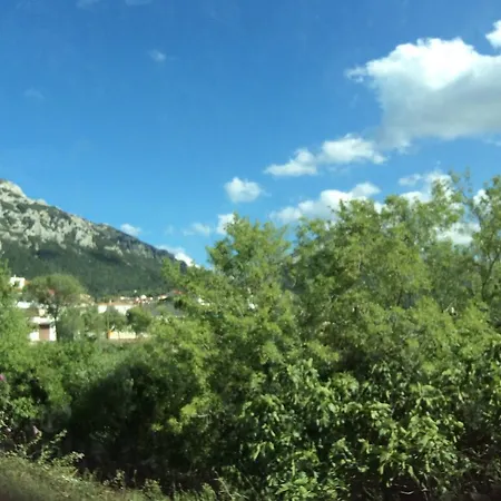 Luce Viola Dorgali
