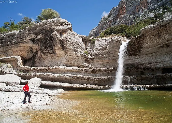 卢斯中提琴住宿加早餐旅馆 住宿加早餐酒店 多尔加利