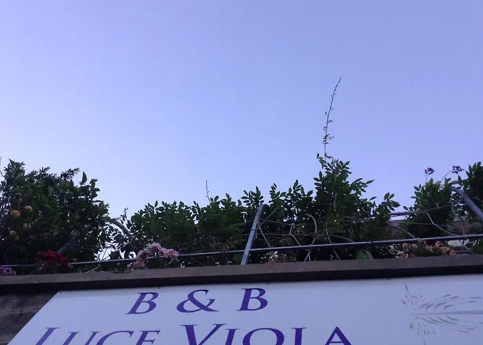 住宿加早餐酒店 卢斯中提琴住宿加早餐旅馆 3*